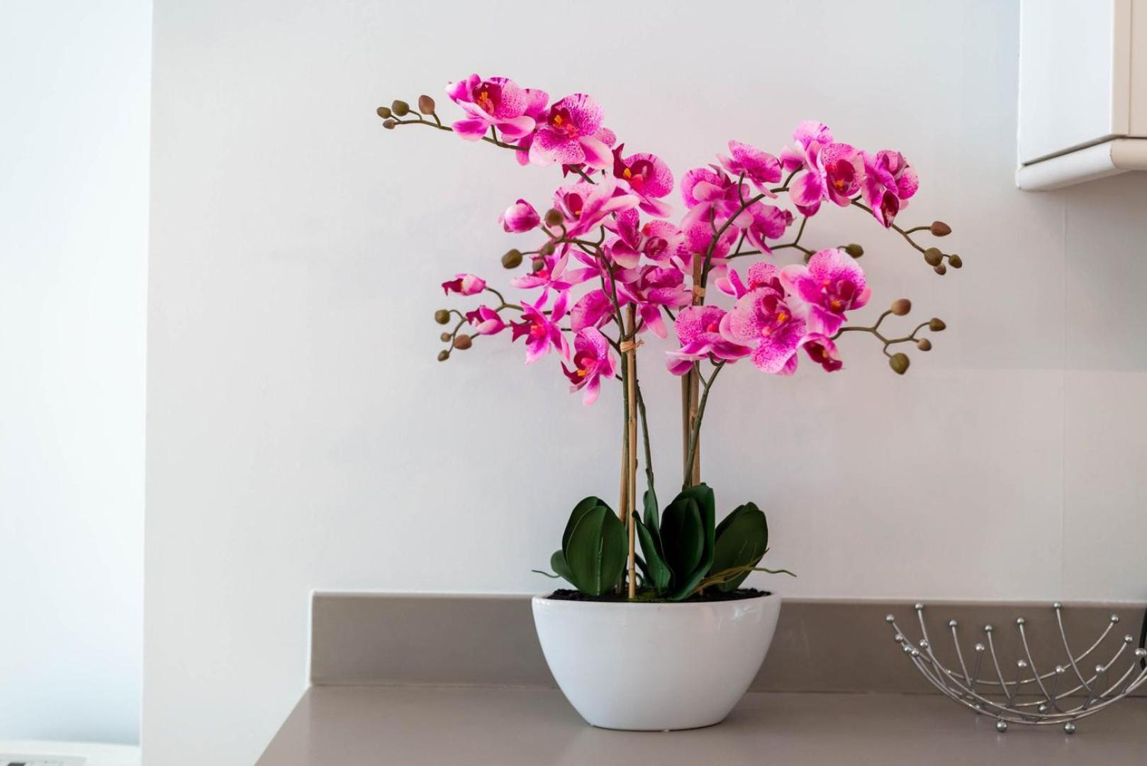 Guestready - Stunning Covent Garden 2Br Duplex Lägenhet London Exteriör bild